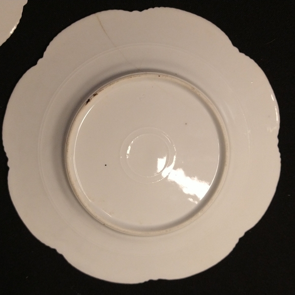 Old china plates Flora print - Picture 9 of 9